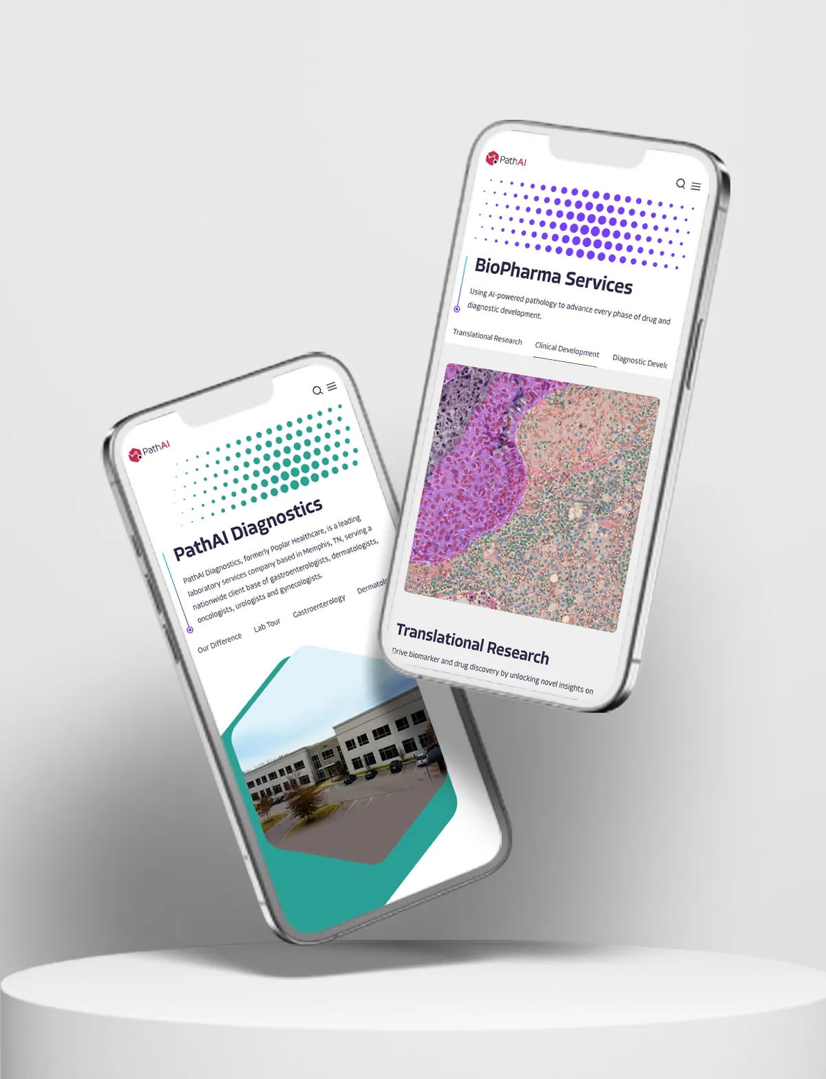 PathAI's AI-Powered Diagnostic Assisstance Tool